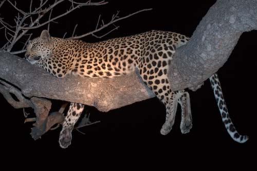 SteveMundy-HangingAround.jpg