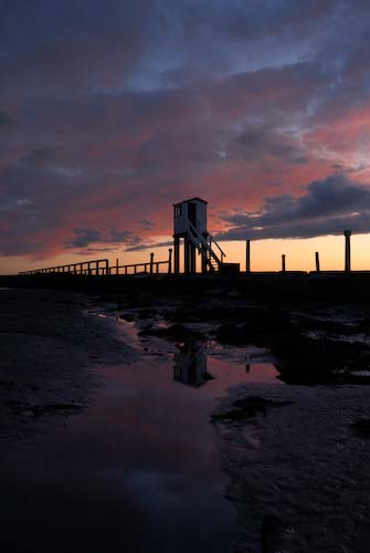 ChrisRibbon-Open-SunsetAtCauseway.jpg