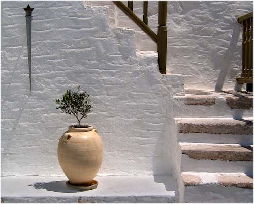 RogerNorton-Open-Paros.jpg