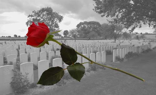 EvelynBarnard-Remembrance.jpg