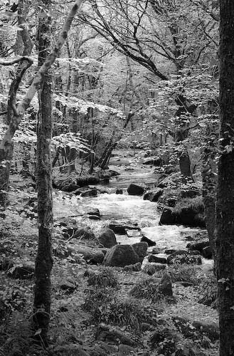 JoeHumm_GolithaFalls_MG_1423.jpg
