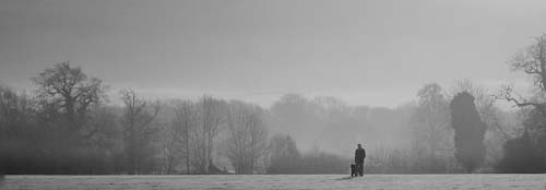 TaniaHynard-Development-WinterWalk.jpg
