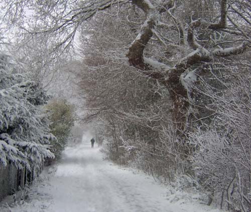 TaniaHynard-Development-SnowWalk.jpg