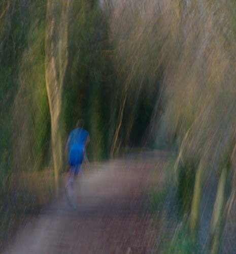 AndrewFindlay-Open-TowpathRunner-17364.jpg