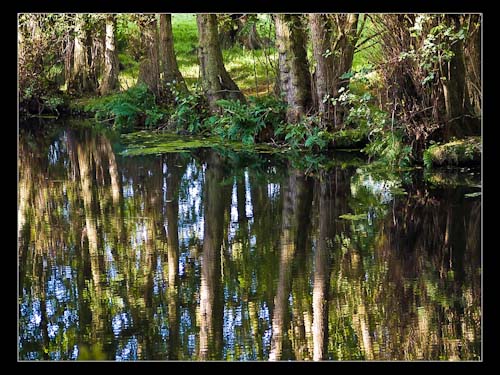 RBird-Open-CanalnearWelshpool.jpg