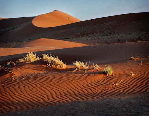 DavidBirchDawnintheDesert.jpg