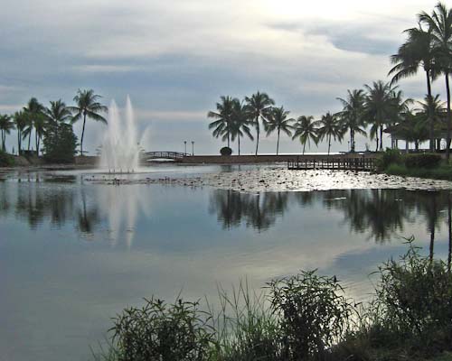 PaulaHerron-ThaiLagoon-forweb.jpg