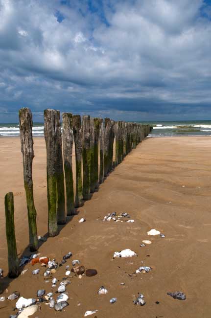 RonCastle-open-seascapecopy.jpg