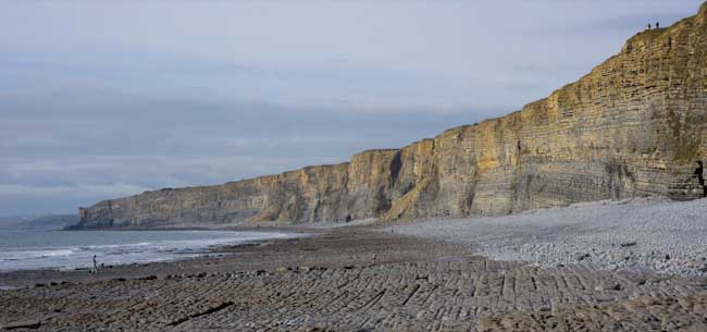 Patrick_White-Annual-Beach_and_Cliffs.jpg