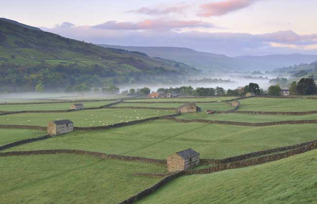 Sharon_Ribbon_Gunnerside.jpg