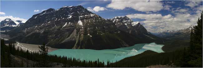 Stewart_Robertson-Annual-Peyto_Lake.jpg