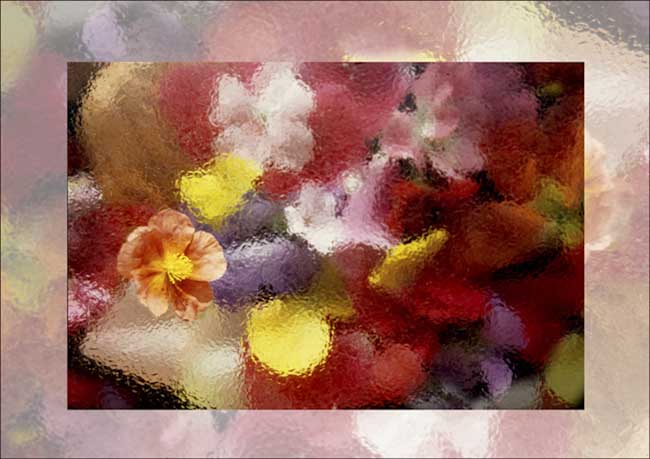 David_Birch_Bouquet_.jpg