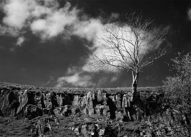 Roger_Norto_limestone_edge.jpg