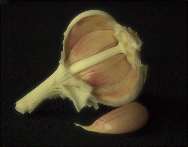 Bob_Keene_FOOD_Garlic.jpg