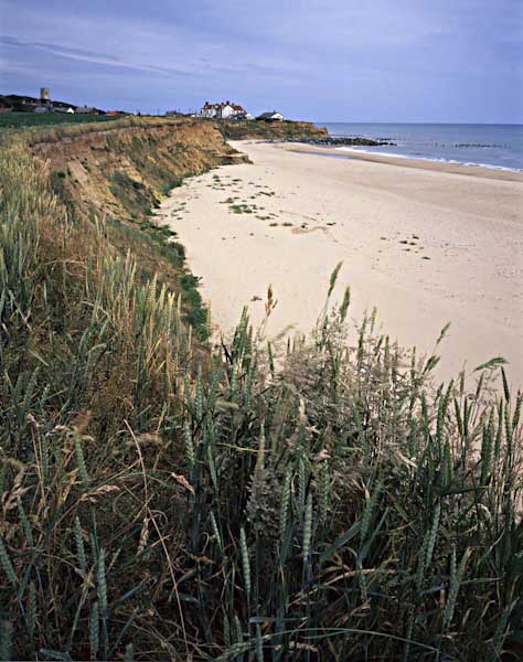 Happisburgh-View-PaulF.jpg