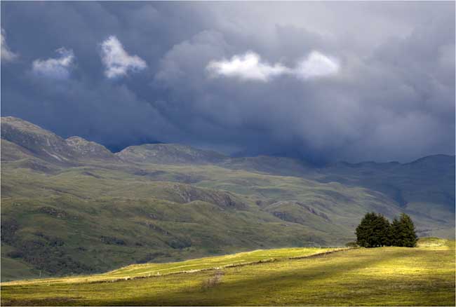 DavidBirch-Open-Raincoming.jpg