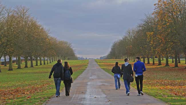 PreetiValand-Development-WindorWalk.jpg