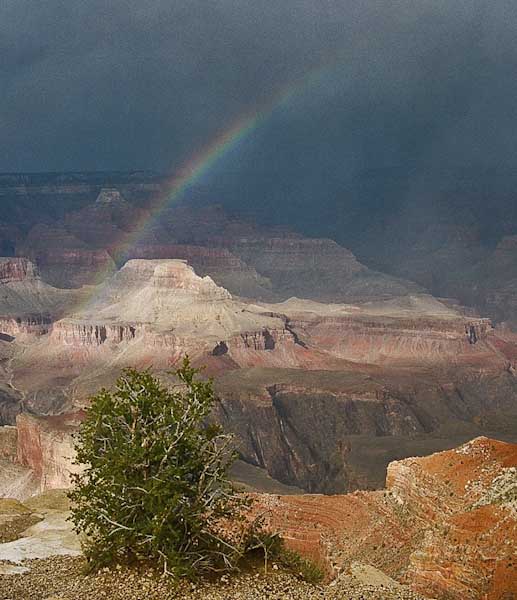 StewartRobertson-Open-GrandCanyonrainbow.jpg