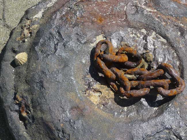 AlexMcKendrick-Barnacle.jpg