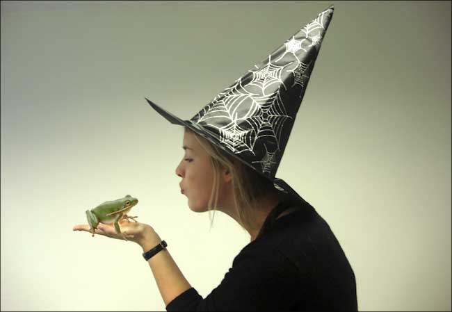 BobRobertsonPrincessandFrog.jpg