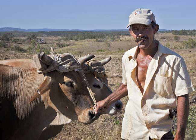 RogerNorton_PloughmanVinalesValley.jpg