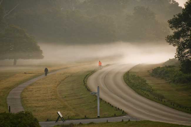 RonCastle-open-RichmondParkMist.jpg