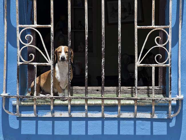 Roger_Norton-Open-Behind_Bars.jpg