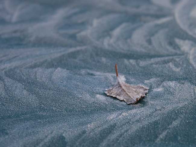 Stewart_Robertson-Open-Frosty_car.jpg