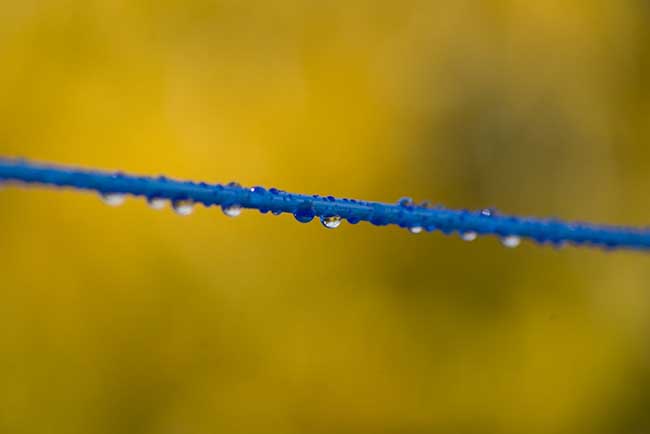 Ben_Stephenson_RaindropOnWashingLine_small.jpg