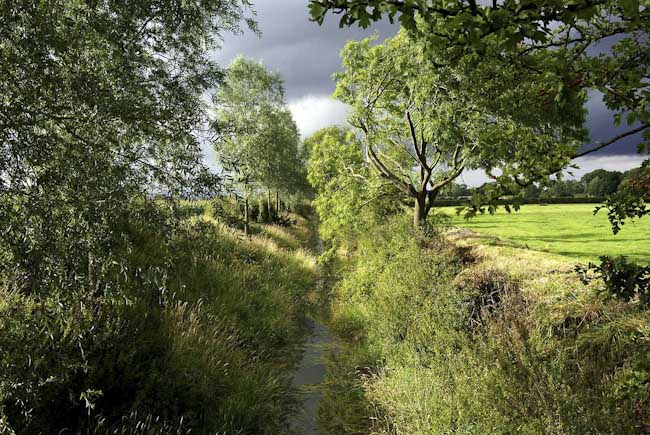 R_Bird_-_Drainage_ditch_nr_Shrewsbury.jpg