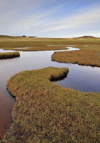 Sharon_Ribbon_Salt_Marsh_at_Achnahaird.jpg