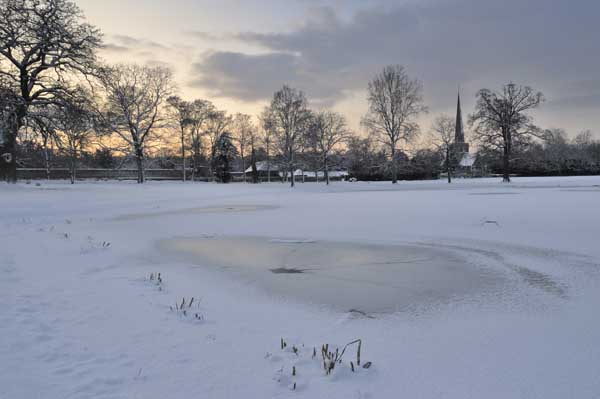 chris_ribbon_-_early_evening_at_shottlesbrook.jpg