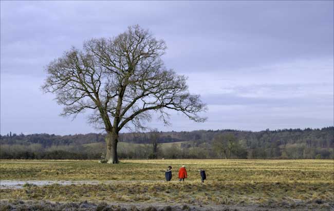 Anita_Woodcock_Sunday_Morning_Walk.jpg