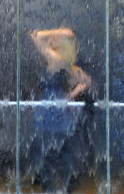 SharonRibbon-Visual_art-untitled-jpeg.jpg