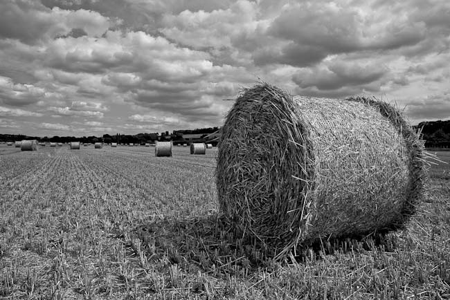 Albert_Opalko_-_3__Hay_its_Hurley_Afternoon.jpg