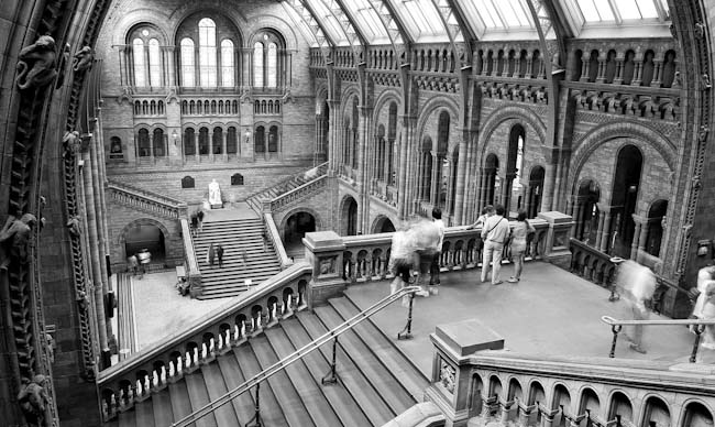 Ben_Stephenson__-_5__Natural_History_Museum.jpg