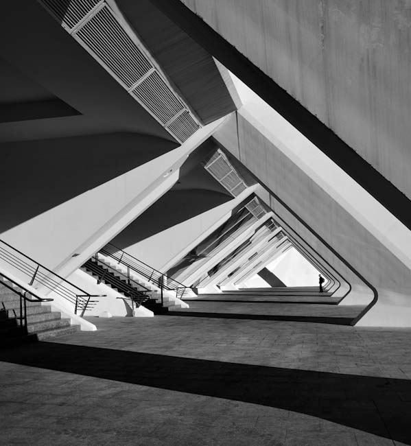 Monochrome-Sharon_Ribbon-untitled_2.jpg.jpg