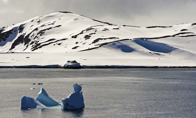 AngelaSurkau-Development-EXCURSION_TO_HALFMOON_ISLAND.ANTARCTICA.jpg