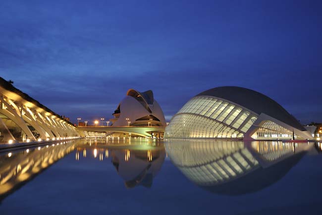 SharonRibbon-advanced-valencia.jpeg.jpg