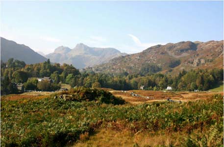 AutumninLangdale_SandraMarsh.jpg