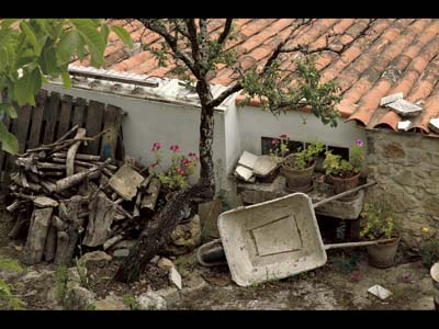 RodMorrod_Backyard.jpg