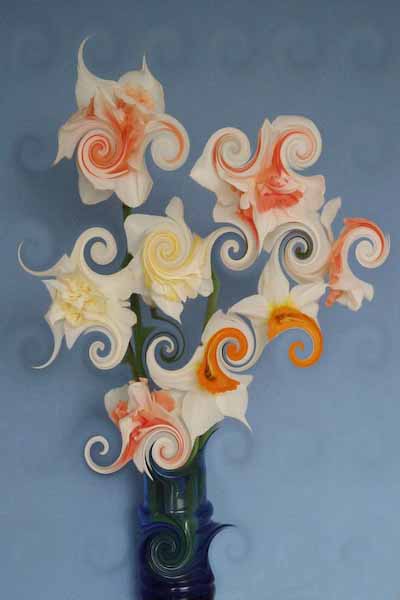 DaffiesallinaSwirl.jpg