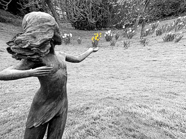 SpringinHand.jpg