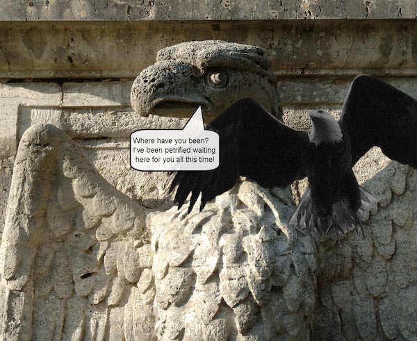 TheEagleFamily.jpg
