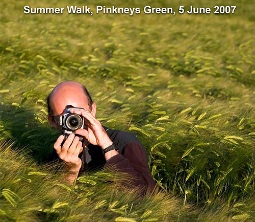 SummerWalk.jpg