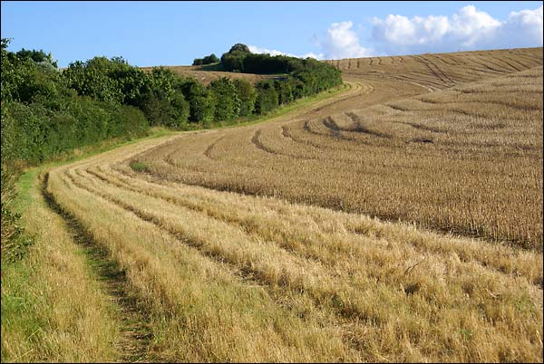 Harcourt-Hill.jpg