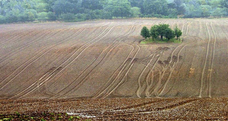 CopasFarm.jpg