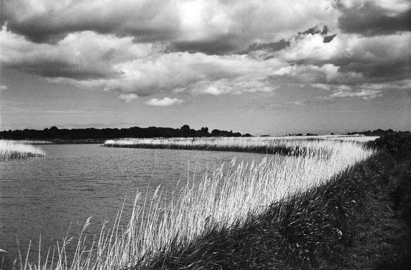 RiverAlde-21a.jpg