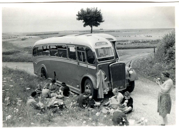 bus2.jpg