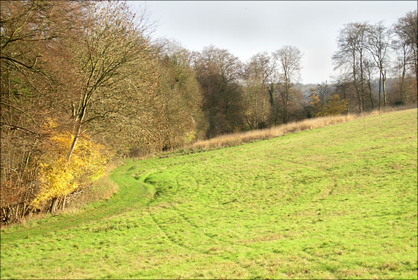TwigsideBottomwoods.jpg